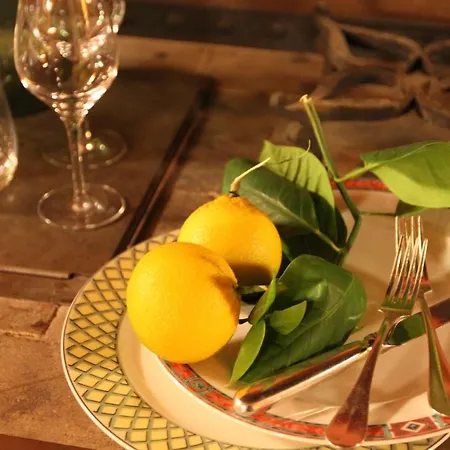 100多丽住宅酒店 4* 阿斯科利皮切诺